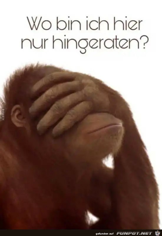 wo bin ich hier hingeraten ? wo bin ich hier hingeraten ?