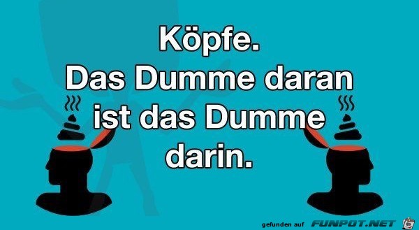 Köpfe Köpfe