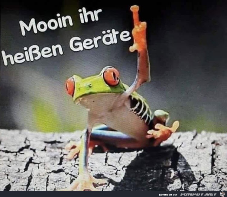 Moin moin...