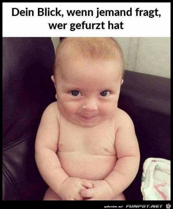 Dein Blick, wenn jemand gefurzt hat Dein Blick, wenn jemand gefurzt hat