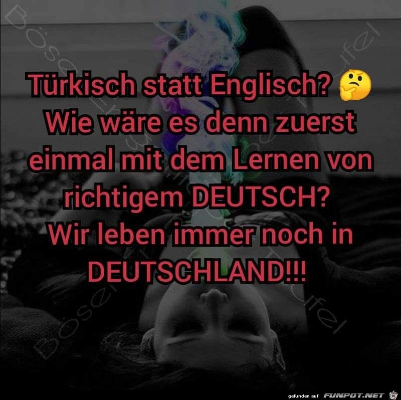 Lernt erst mal richtiges Deutsch