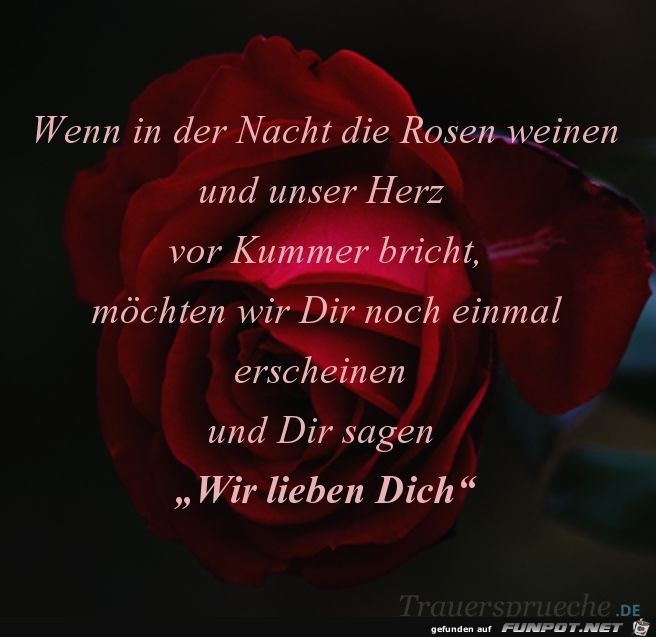 Wenn in der Nacht die Rosen weinen