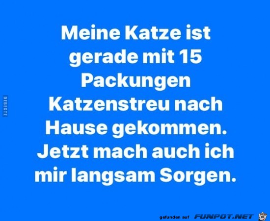 Meine Katze kam gerade... Meine Katze kam gerade...