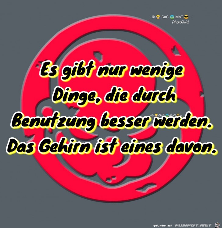 Gehirn