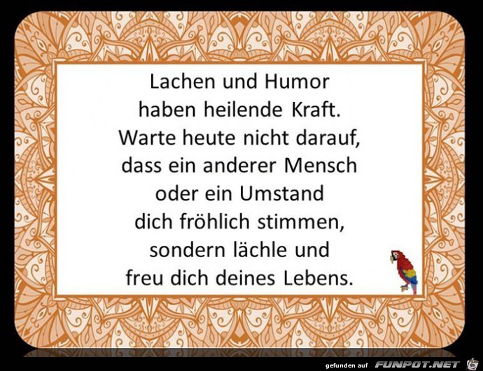 Lachen und Humor