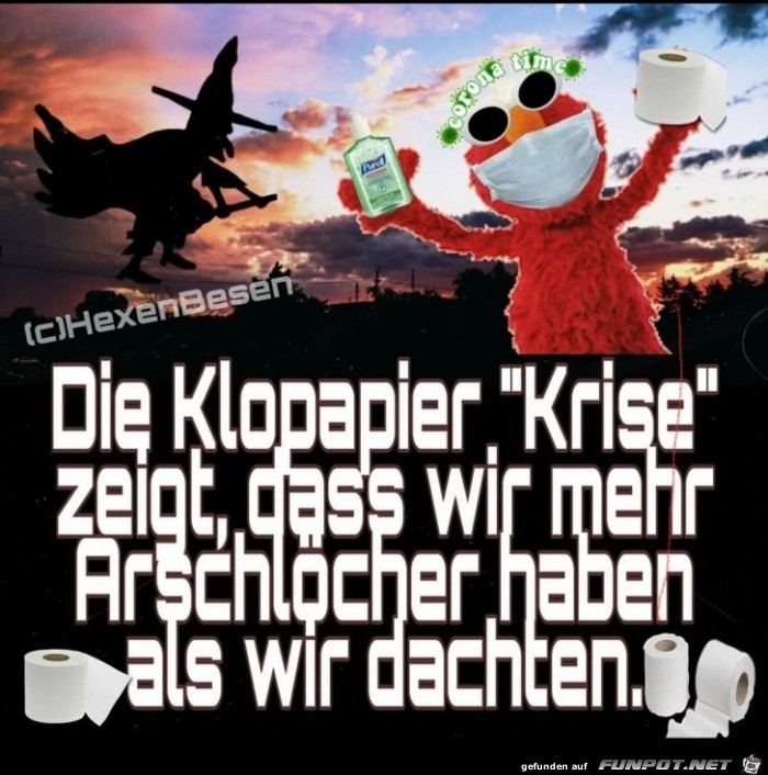 Die Klopapier-Krise zeigt