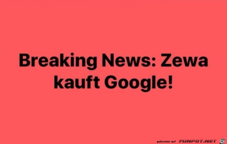 Zewa kauft Google