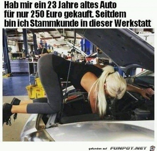 Stammkunde in der Werkstatt