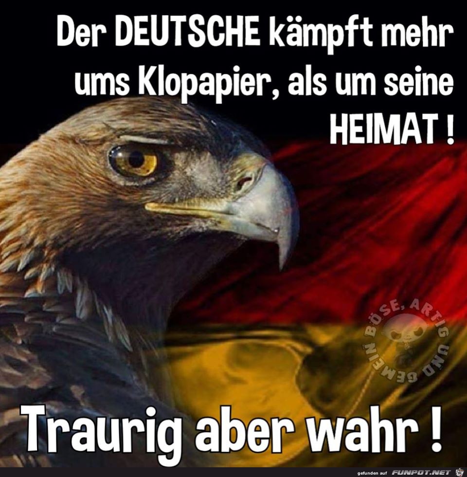 Traurig aber wahr