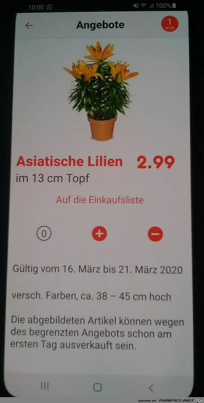 Gefhrliche Blumen