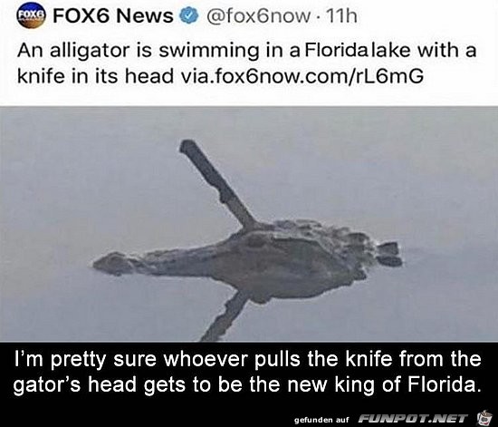 King of Florida