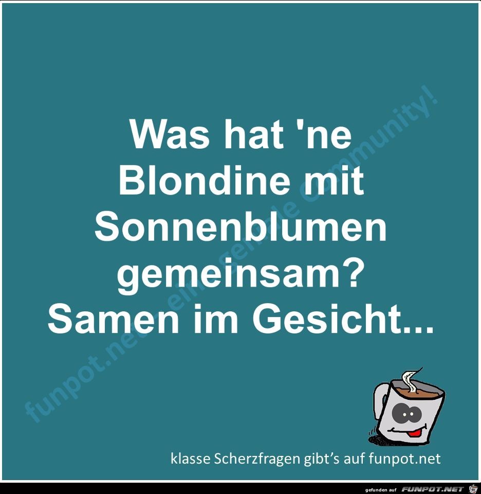 Scherzfrage Scherzfrage