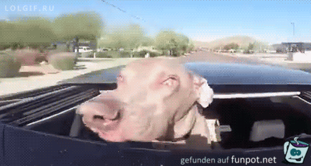 Einmal Luft schnappen Einmal Luft schnappen