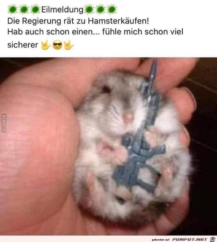 Hamsterkufe