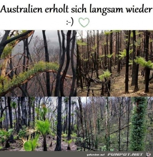 Australien erholt sich langsam wieder