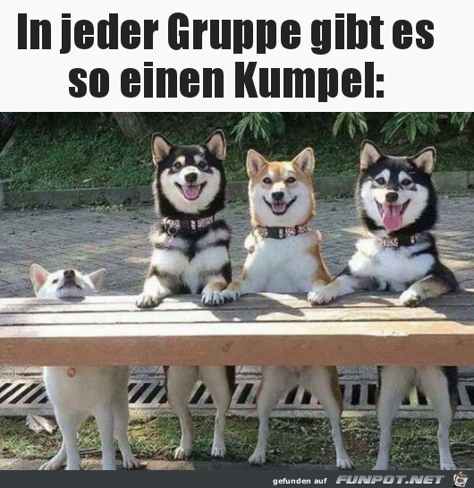 In jeder Gruppe gibt es diesen Kumpel