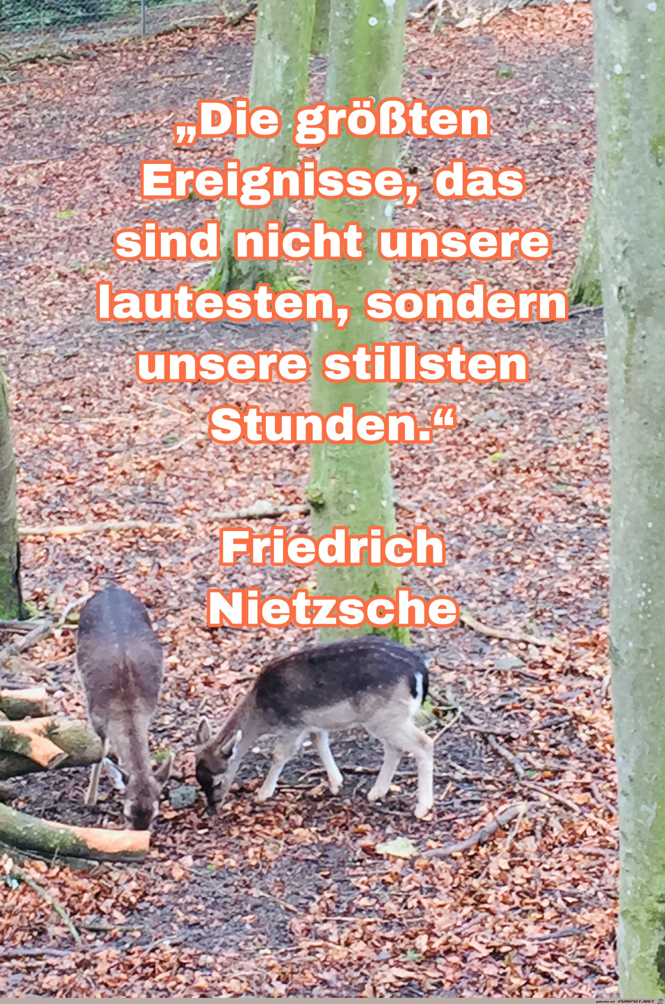 die groe ssten ereignisse die groe ssten ereignisse