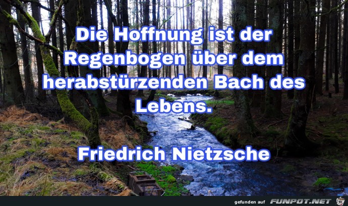 die hoffnung ist der regenbogen die hoffnung ist der regenbogen