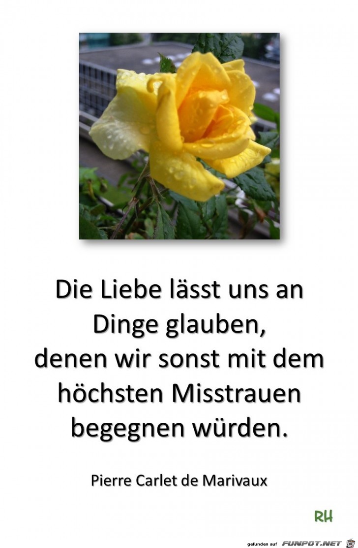 Die Liebe laesst uns an Dinge glauben