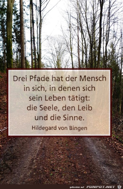 Drei Pfade