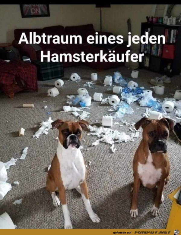 Ein Albtraum