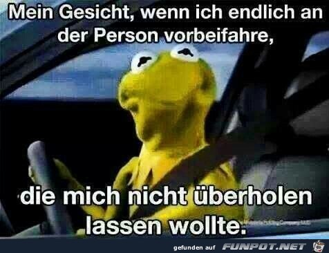 Mein Gesicht Mein Gesicht