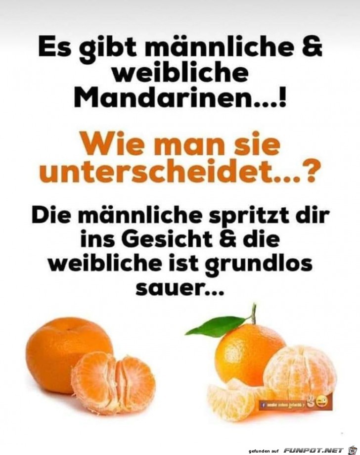 es gibt mnnliche und weibliche Mandarinen