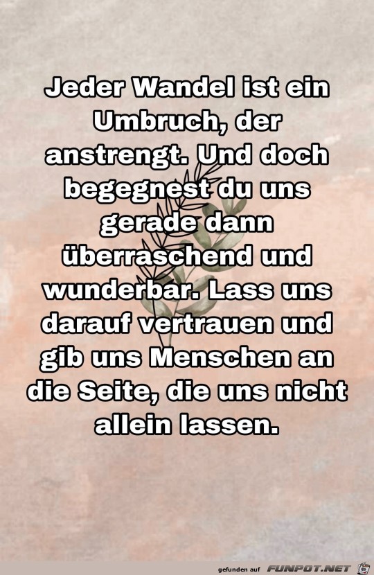 jeder wandel