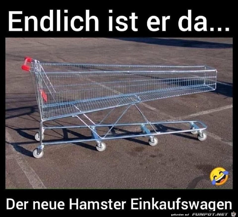 Endlich ist der Hamster-Einkaufswagen da