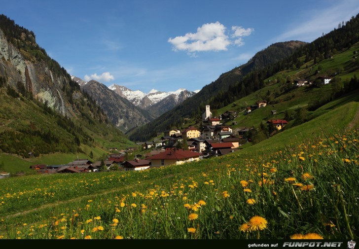 Huttschlag-Fruhling-2011 4