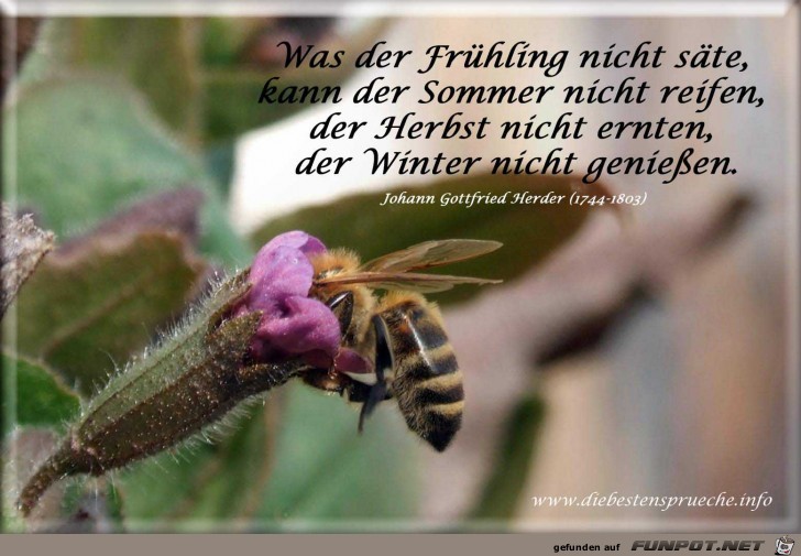 Fruehling Fruehling