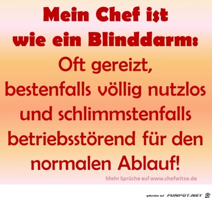 Mein Chef ist wie ein Blinddarm