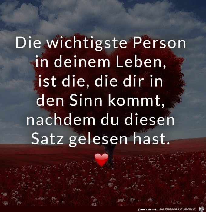 Die wichtigste Person