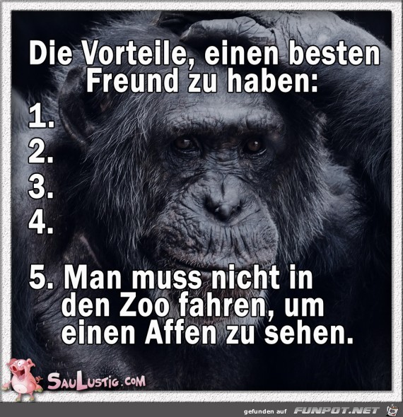 Vorteile-bester-Freund