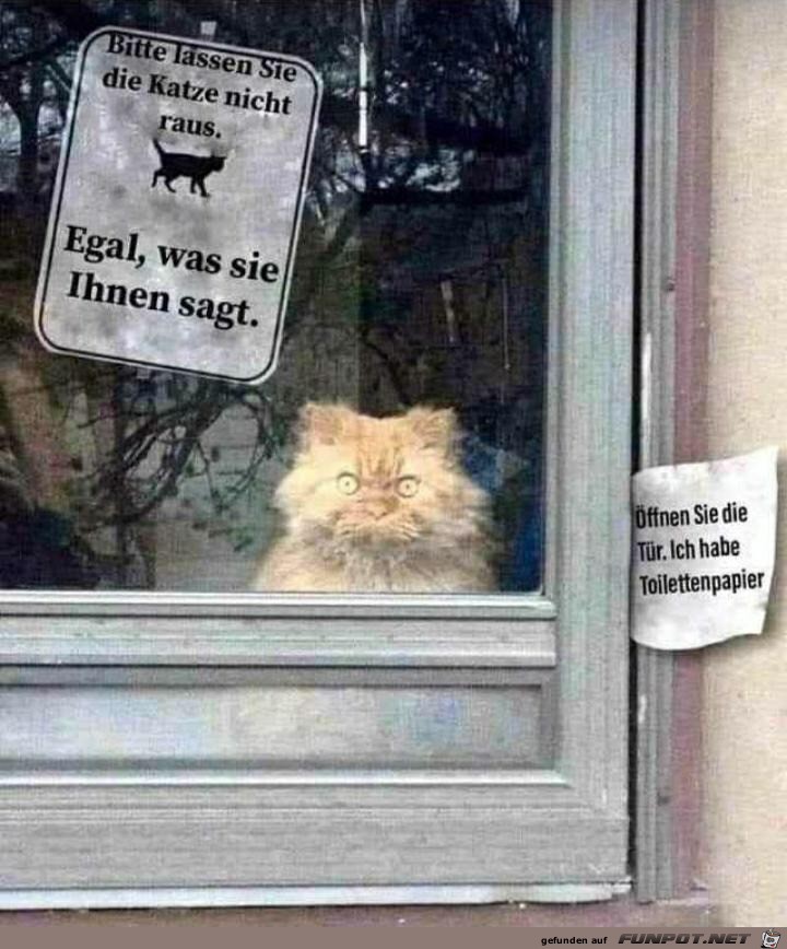 Bitte die Katze nicht rauslassen