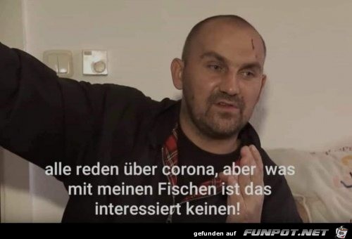 Meine armen Fische