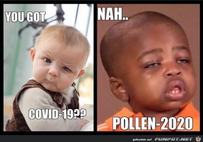 Covid? Nein Pollen-Allergie