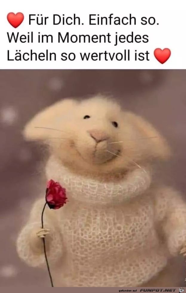 Ein Lcheln fr dich