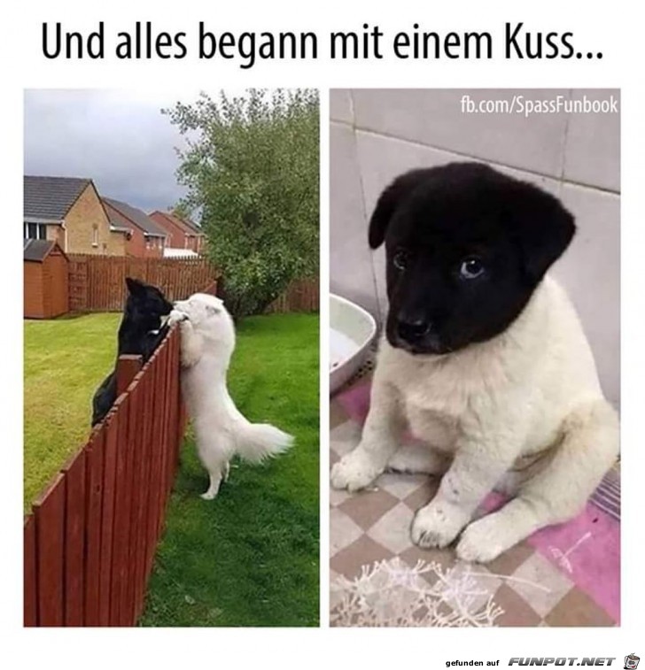 Und alles begann mit einem Kuss