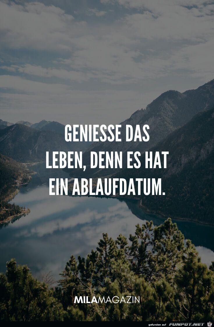 Geniese das Leben