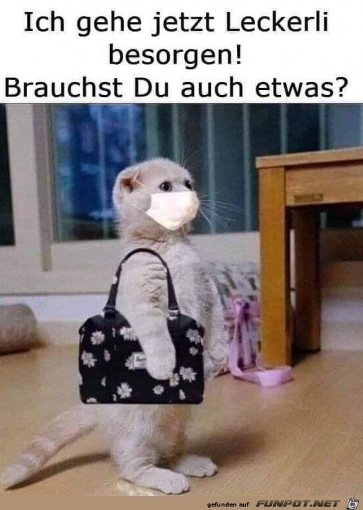 Ich gehe jetzt einkaufen