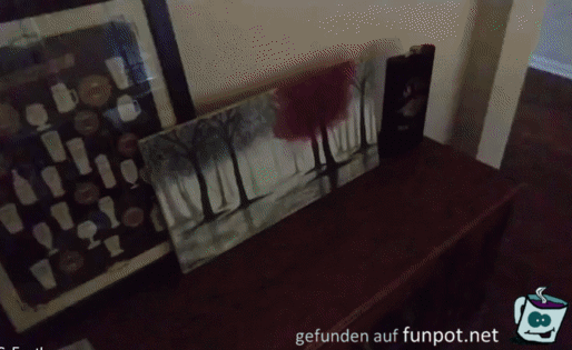 Mit Schwarzlicht wird alles sichtbar Mit Schwarzlicht wird alles sichtbar