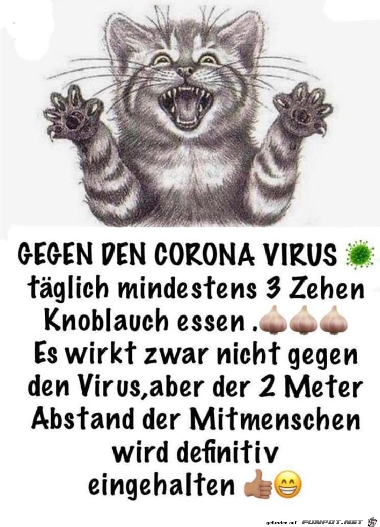 Knoblauch Knoblauch