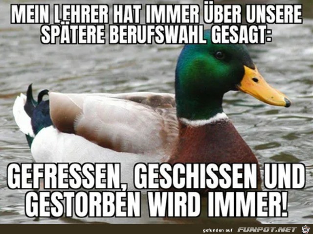 witzige frivole Bilder aus verschiedenen Blogs. Nicht...