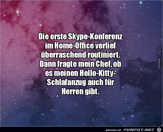 Die erste Skype-Konferenz im Home Office