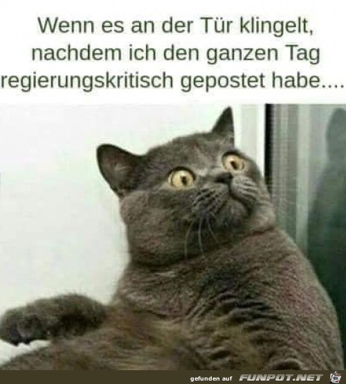 Wenn es an der Tr klingelt