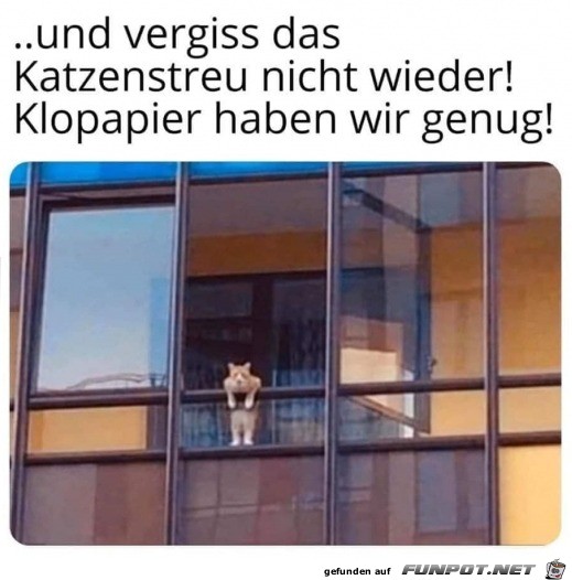 vergiss das Katzenstreu nicht vergiss das Katzenstreu nicht