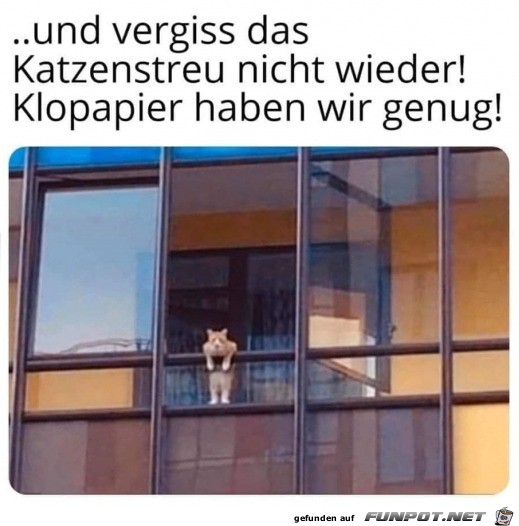 vergiss das Katzenstreu nicht