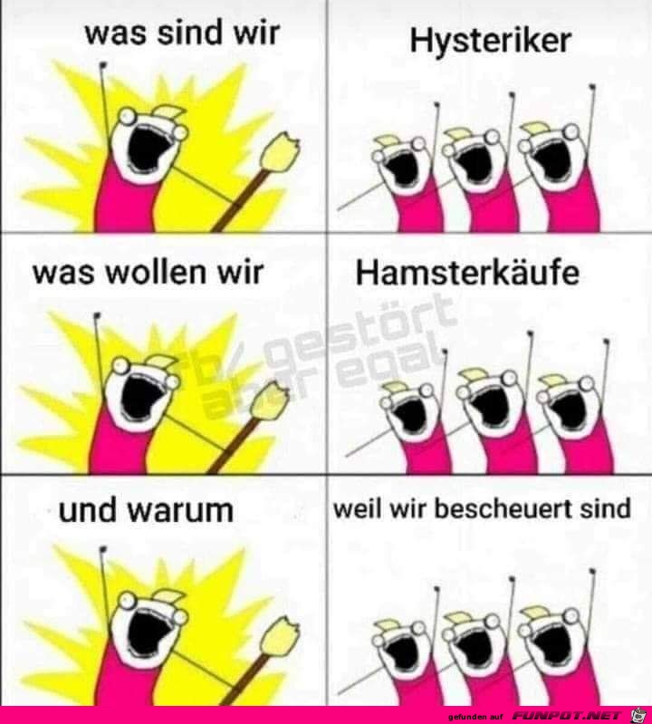 Bescheuerte Bescheuerte