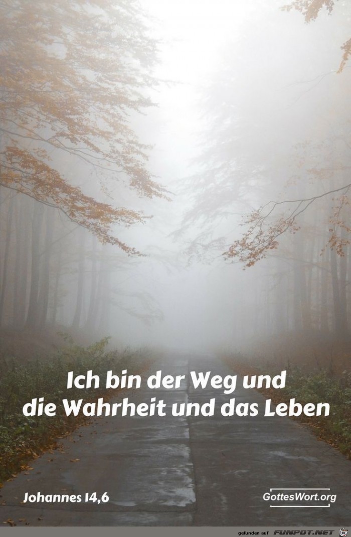 Joh. 14.6 Joh. 14.6